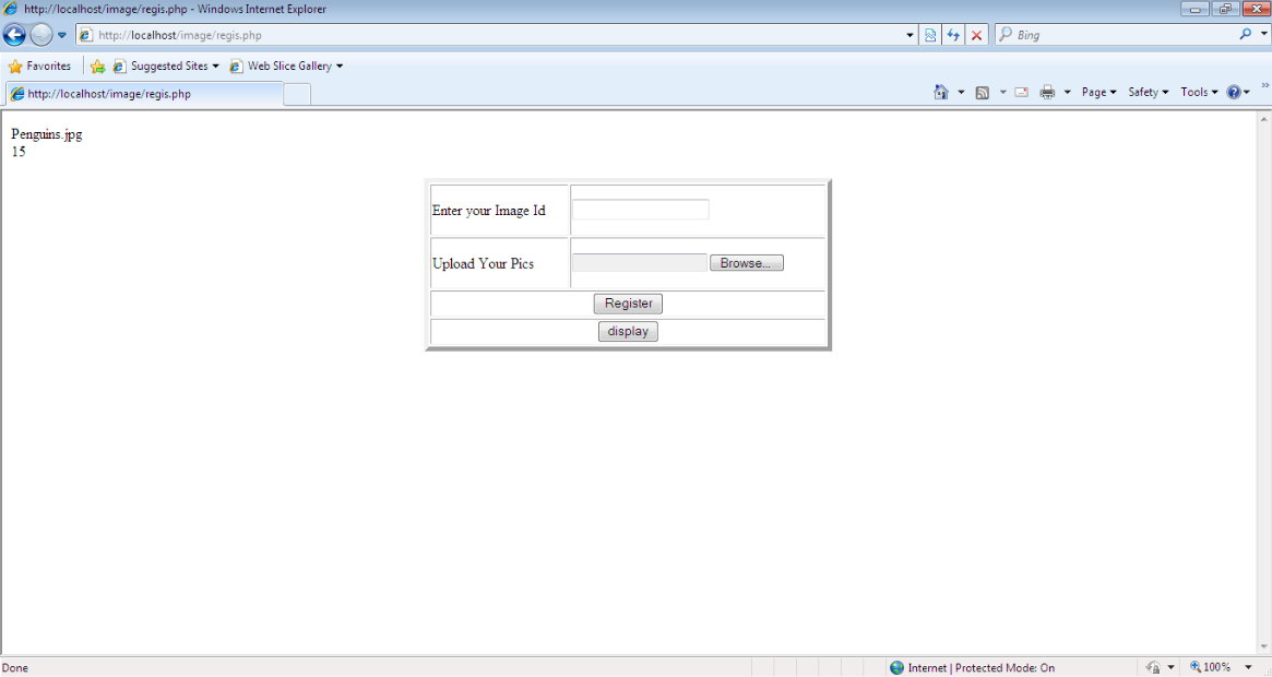 Fig - Execution Output - 3