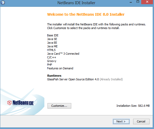 Figure - Net Beans Installer